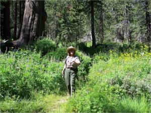 Park Ranger giving a talk among the many beautiful wildflowers.